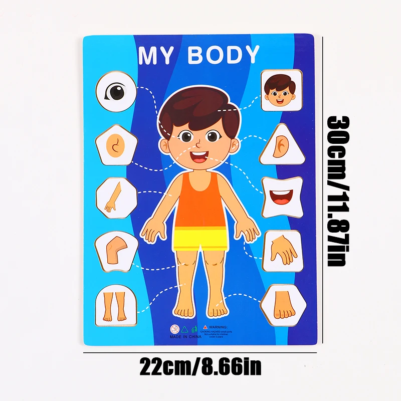 

My Body Wooden Cognitive Board for Boys - Body Part Recognition - Exquisite Gift