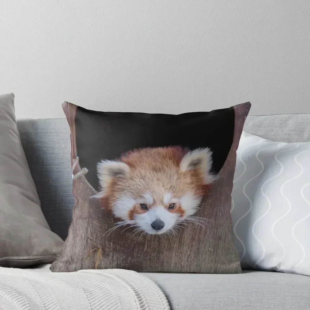

Red Panda Throw Pillow Sofa Pillow Cover christmas cushions covers Christmas Pillows pillow