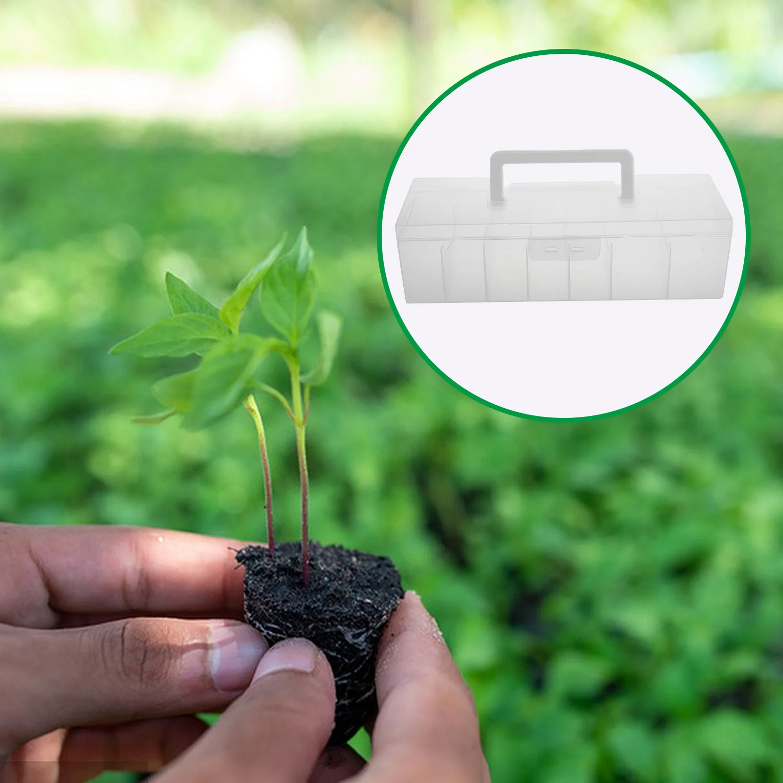 

Clear Storage Box 12-Pack Plastic Multicompartment Packet Organizer Portable Seed Saving Container Transparent Seed Storage