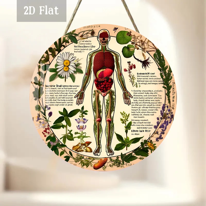 2D Flat, 1pc Vintage Anatomical Human Body & Medicinal Herb Round Wood Panel Painting - Science Chart, Educational Anatomy Diagr