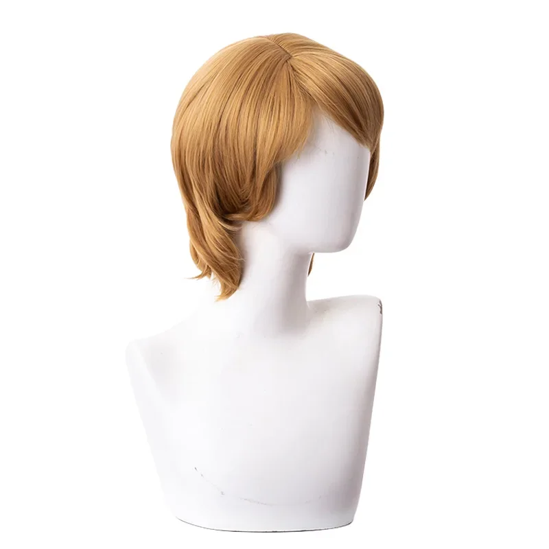 شعر مستعار كريستوف تنكري قصير مستقيم ، شعر صناعي مقاوم للحرارة ، شعر مستعار حفلات للبالغين ، قبعة مجانية ، 30 *