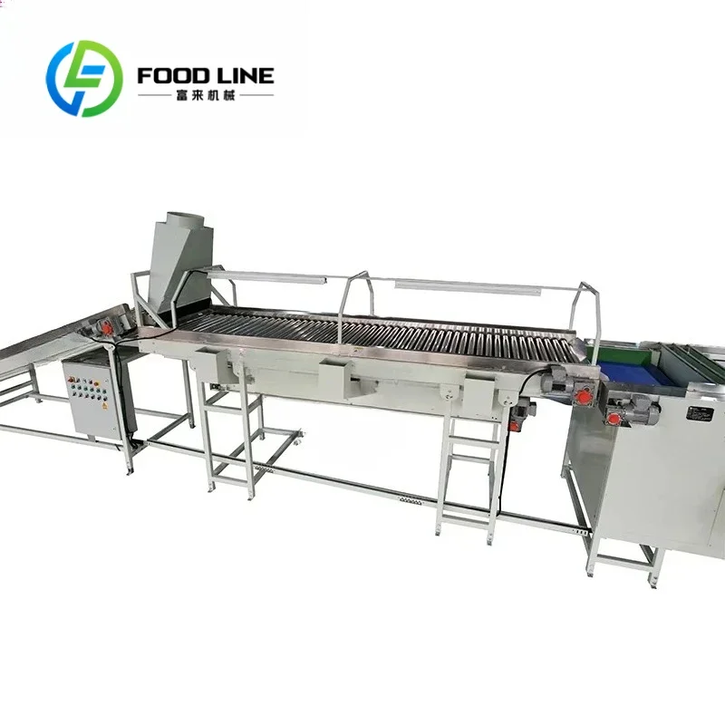 Customized Onion Sorting & Grading Equipment - Commercial Onion Sorter Calibrator & Packaging Line