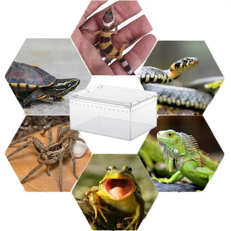 Reptile Lizard Breeding Box Acrylic Spider Lizard Transparent Breeding Box Breathable Tarantula Terrarium For Scorpion Mantis