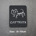 Black Reflective Cat