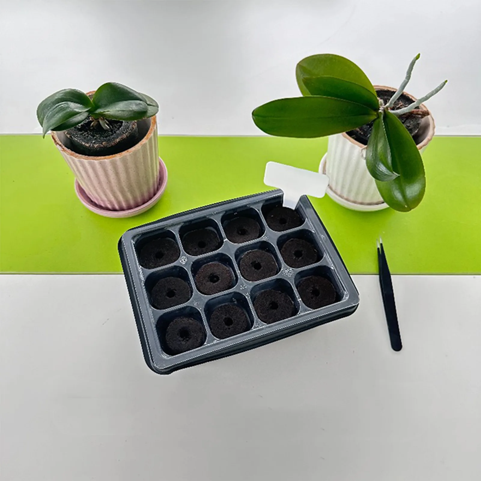 Vasos de semeadura de plantas com 12 buracos, copos de plantio interno, plantas, sementes, para plantas, legumes ou ervas, suprimentos de jardim, vaso de jardim