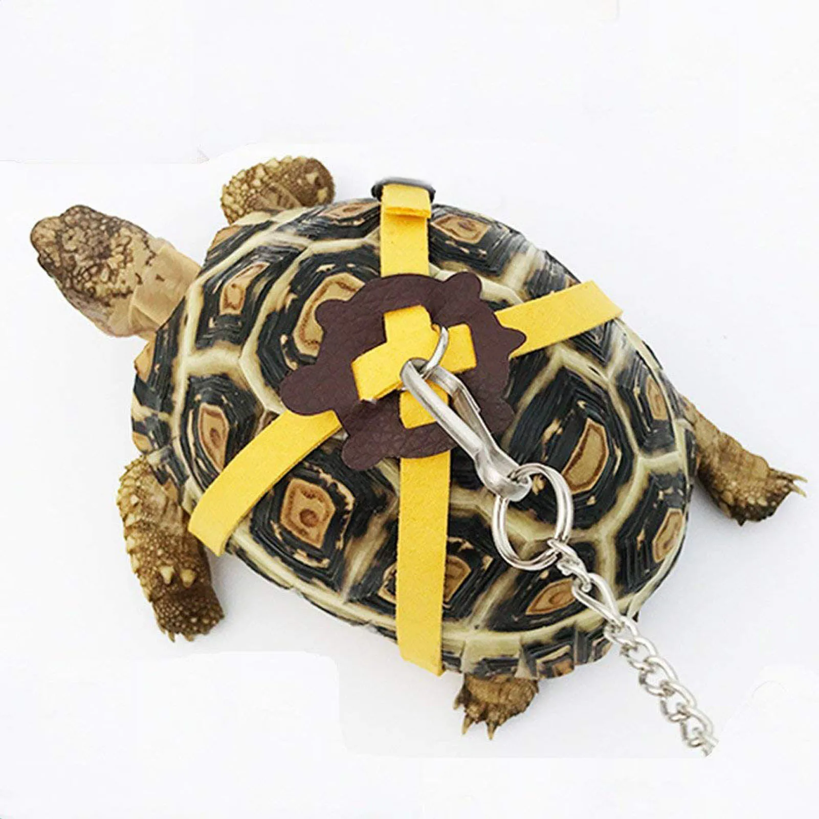 Tortoise Harness Strap Safety Control Soft PU Leather Adjustable Lizard Leash for Training Walking Reptile Harness Leash