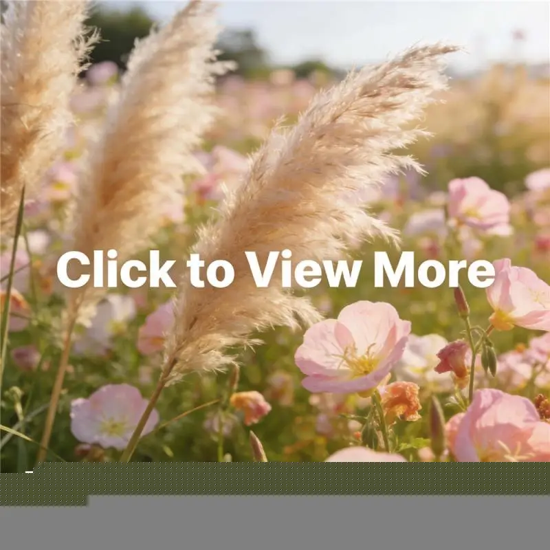 

M.2 M KEY NVMe To SATA Convert Card with Smart Indicator M.2 NVMe To SATA 3.0 Expansion Card Tools Included for Desktop PC