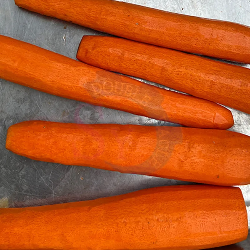 التجارية الغذاء الصف الفولاذ المقاوم للصدأ مقشرة الفجل الأحمر التلقائي آلة تقشير الجزر الصينية يام معدات إزالة الجلد