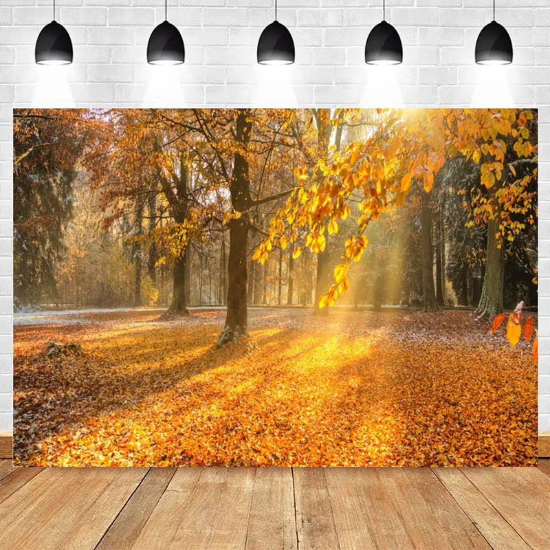 Nature Landscape Picture Autumn Forest Trees Posters Sunshine Prints Canvas, Wall Art, For Living Room Decor Cuadros Gift