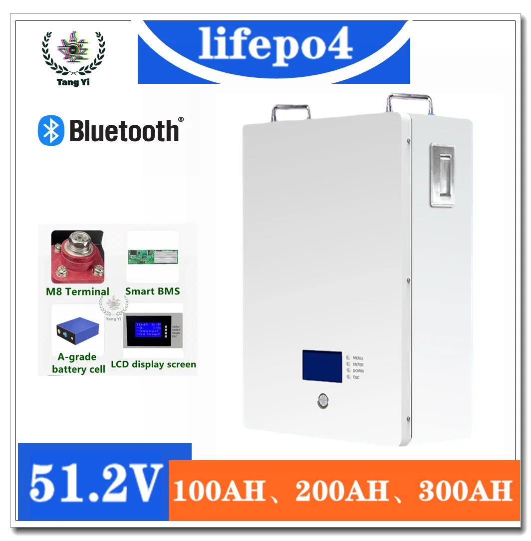 

51.2V LiFePO4 Wall-Mounted Energy Storage Battery 100-300AH for Home Solar PV & UPS Emergency Power (5-30kWh)