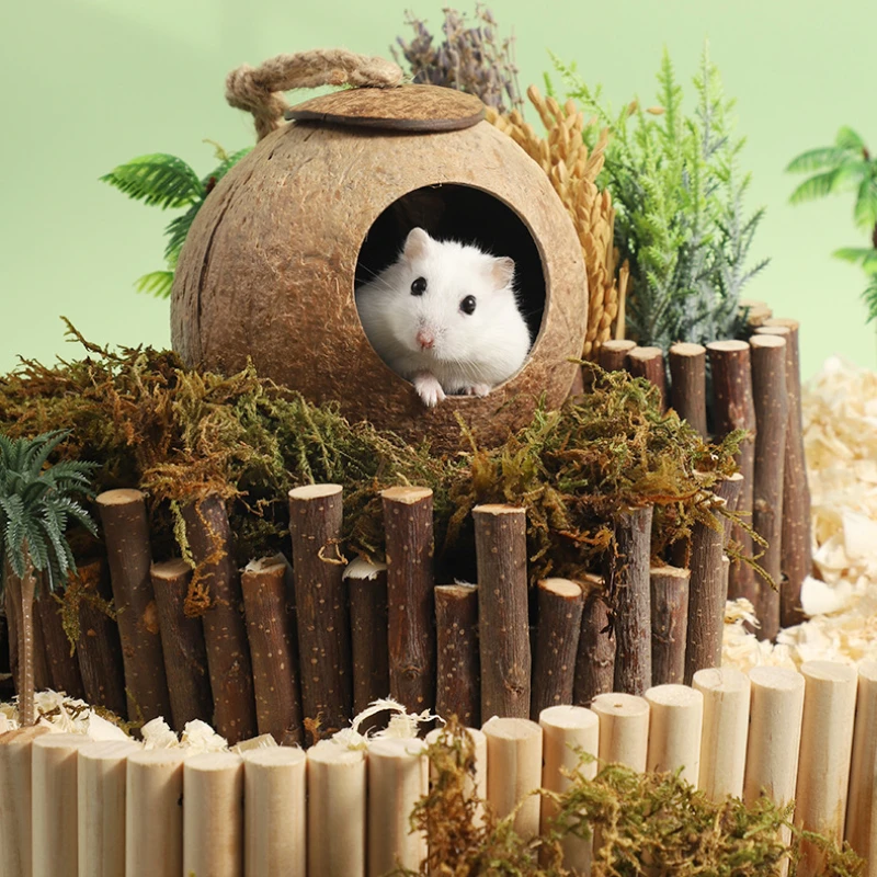 Thumbnail 2 - #19 Latest Hamster Houses Offers