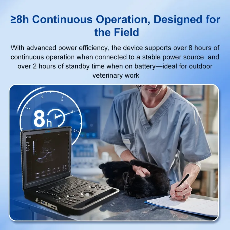 Veterinary Ultrasound Equipment for Animal Health Care and Diagnostic Imaging in Veterinary Practices Animal Care and Supplies