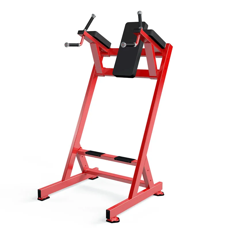 

Leg Machine Professional Factory Commercial Gym Equipment Strength Machine Raise