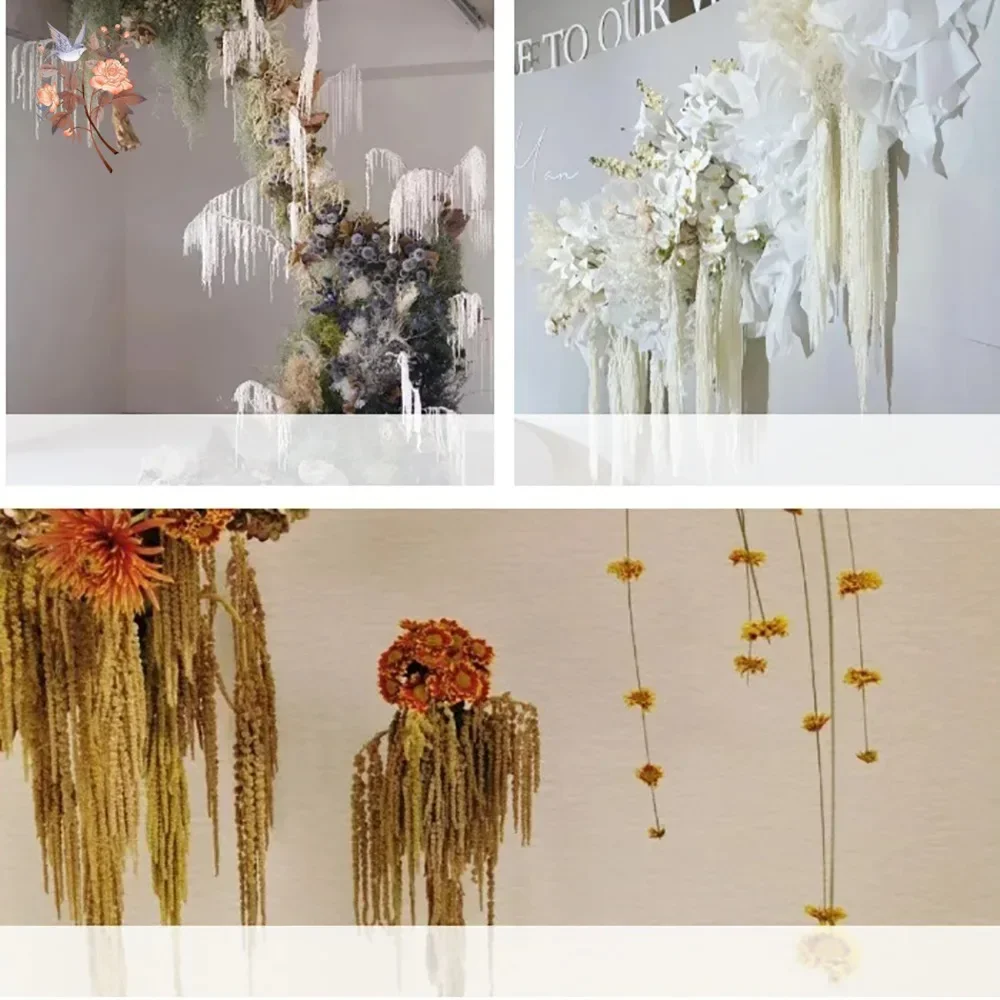 5Pcs Natural Dried Flowers Hanging Amaranthus for Wedding Floral Arrangement Preserved Hanging Flowers DIY Bouquets Home Decor