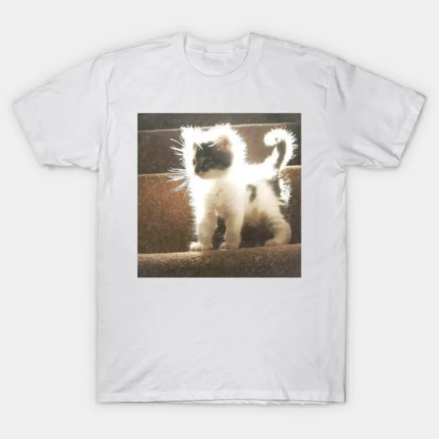 Sunlit Fuzzball Katze Lustige Funkelnde Katze Meme T-shirt Für Männer Frauen 100% Baumwolle T Shirts Kurzarm Tops 1222-2