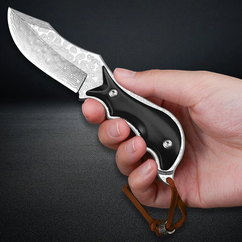 Cobie VG-10 Damascus Steel Knife, High end Meat Knife, Fruit Knife, High Quality Knife with Knife Cover