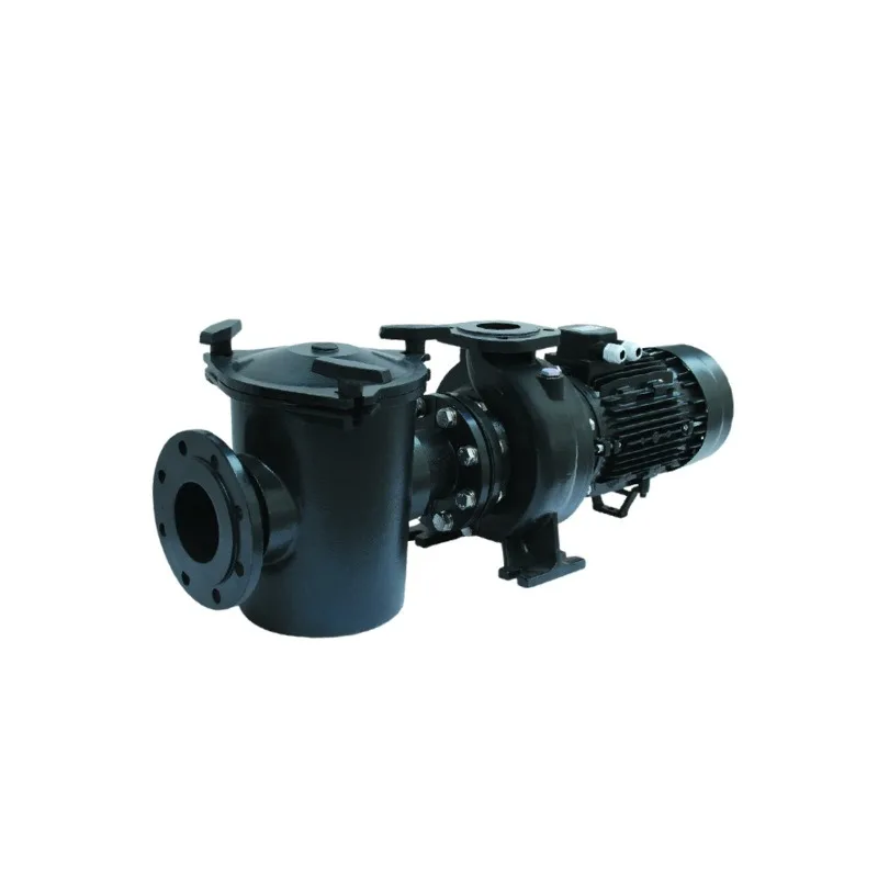 

Swimming pool cast iron pump, large flow large sewage treatment, flange interface, energy saving and silent