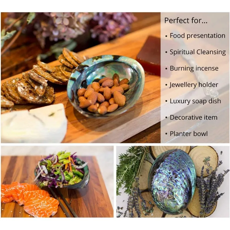 Polished Abalone Shell for Smudging Cleansing Home Meditation Incense Holder Home Décor and Gift 100% Natural  NewZealand Shell