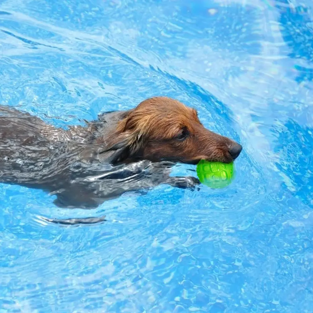 Pet Dog Puppy dźwiękowa zabawka skrzypiące czyszczenie zębów piłka odporna na ugryzienia Chew gumowa zabawka Float śmieszne zwierzęta opieka