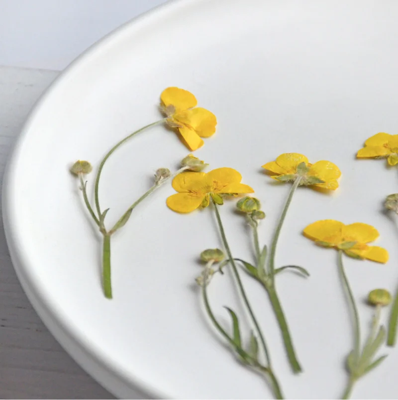 60PCS Bunga Ranunculus Kering  - Resin Art For Photo Frame ulasan dan harga