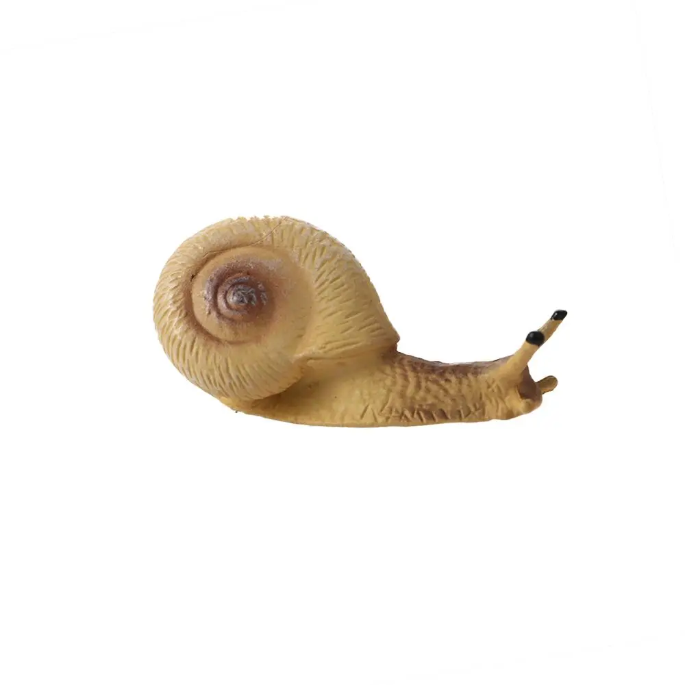 Ornamentos do ciclo de crescimento crianças biologia cognitiva ciclo de vida figuras caracol ciclo de crescimento mantis estatueta orando mantis brinquedo