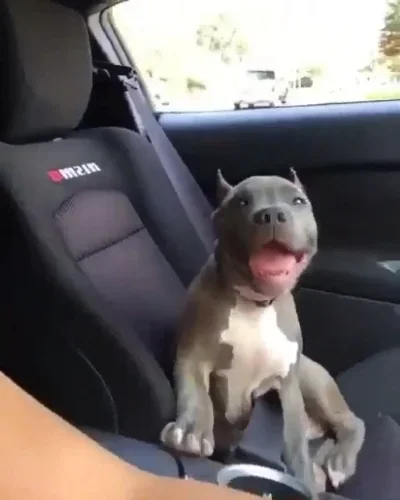 

2.2 RC Crawler Tires and Metal Beadlock Wheels 4PCS for 1/8 1/10 CROSSRC EMO YK4083 4082 H8H RC Crawler Car