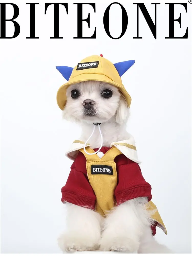 BITEONE Graffiti Kindergarten Pet Clothes: A Real-World Review for Stylish, Functional Winter Wear for Cats and Dogs