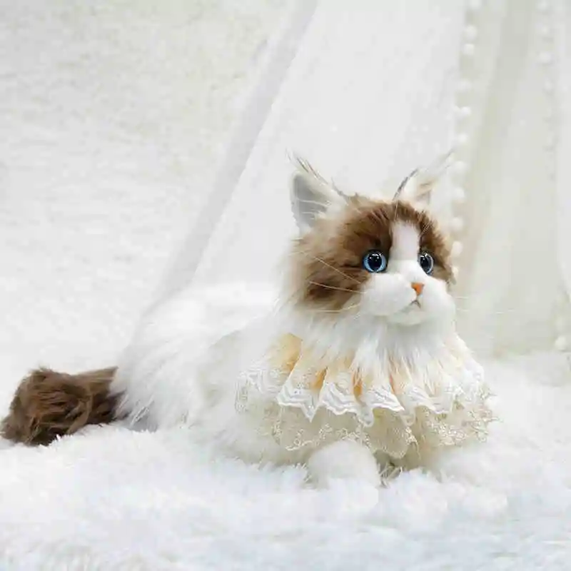 Simulação fofa ragdoll boneca de pelúcia kawaii gato macio animal de pelúcia menina travesseiro de dormir aniversário presente de natal decoração de casa