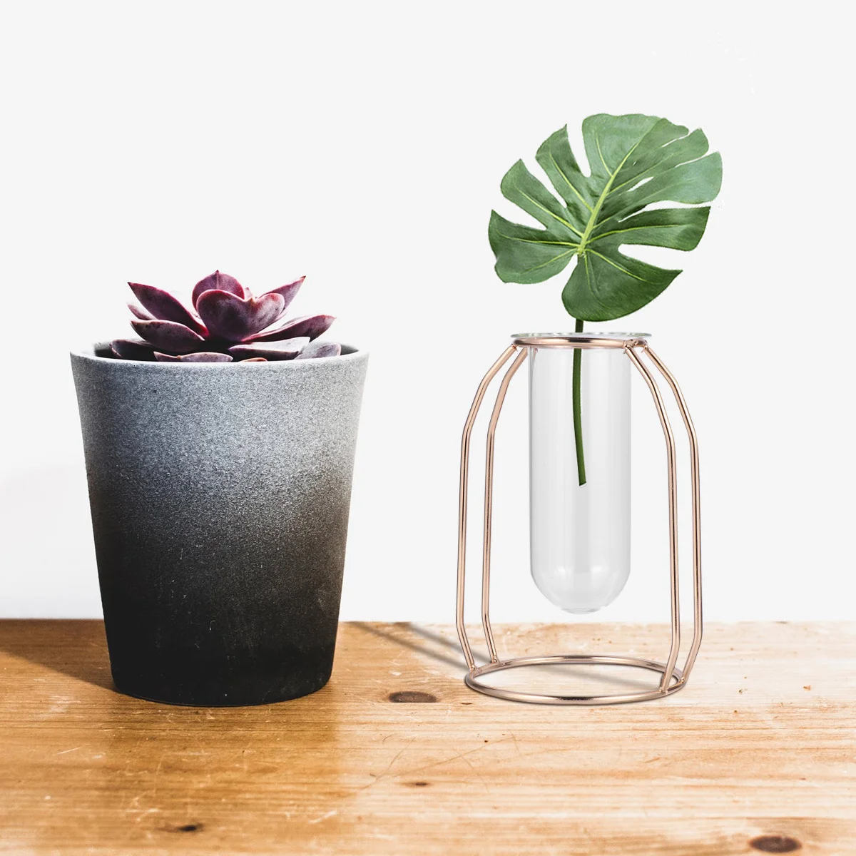 

Glass Tube Vase Plant Container Metal Frame Flower Tube Suitable for Home Office Wedding Gift and Decoration Flower Planter