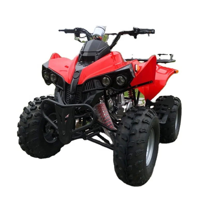 8 Inch 4 Wheel 125cc Quad ATV for Kids with Automatic Chain Drive
