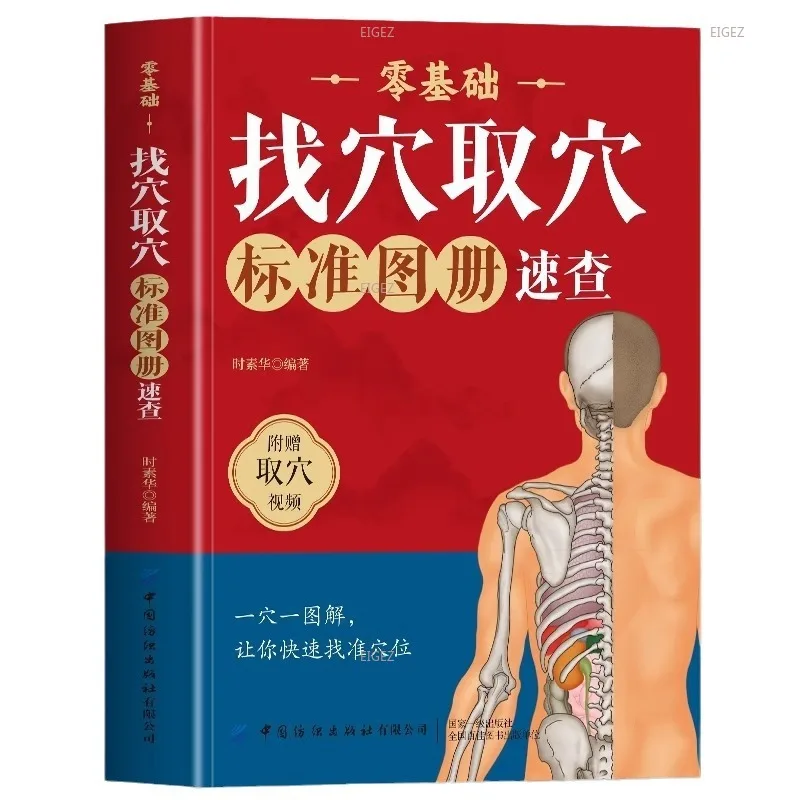 Livro mapa padrão, verificação rápida, meridianos do corpo humano genuíno e acupontos velocidade do diagrama, seleção base zero