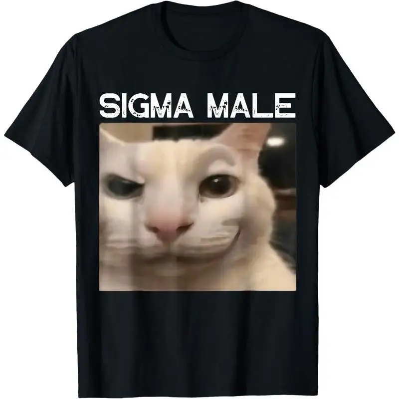 

Cat Meme Funny Memes Internet Memes GenZ Boy T-Shirt