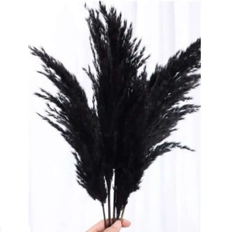 Fluffy Black Pampas Grass Series Dry Flowers Bouquet About 45cm Bunny Tails,Reed, Decorative Plumes For Wedding Party Decortion