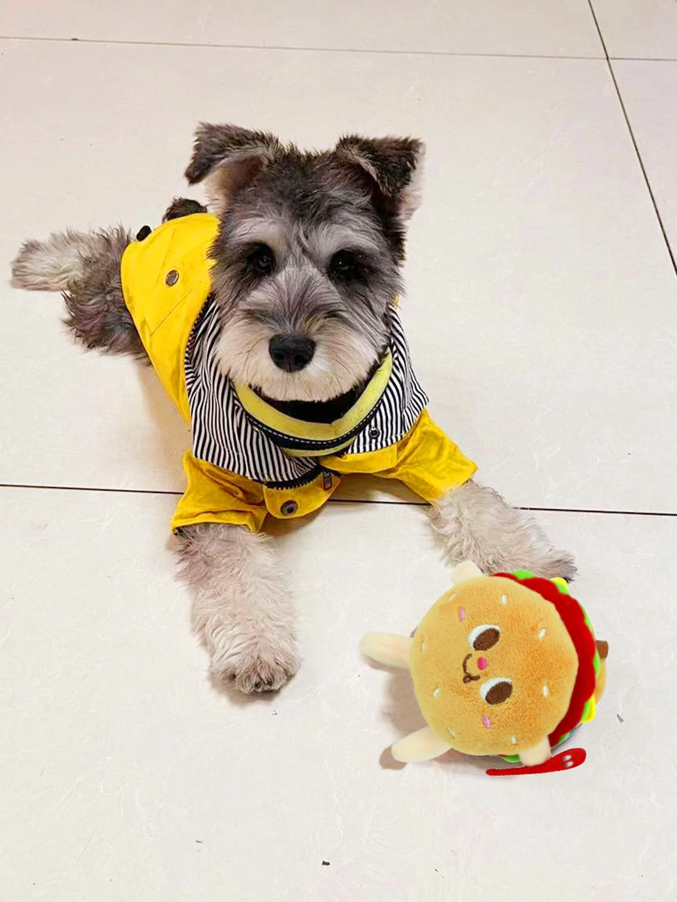 1PC-Burger plush dog toy - designed for bite resistant small dogs, interactive pet toy, suitable for chewing small dog toys