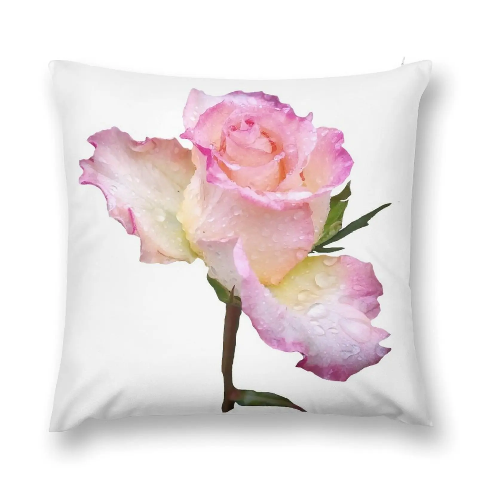 pink rose with the first raindrops of the day Throw Pillow Decorative Cushions For Living Room Pillow Covers Decorative pillow