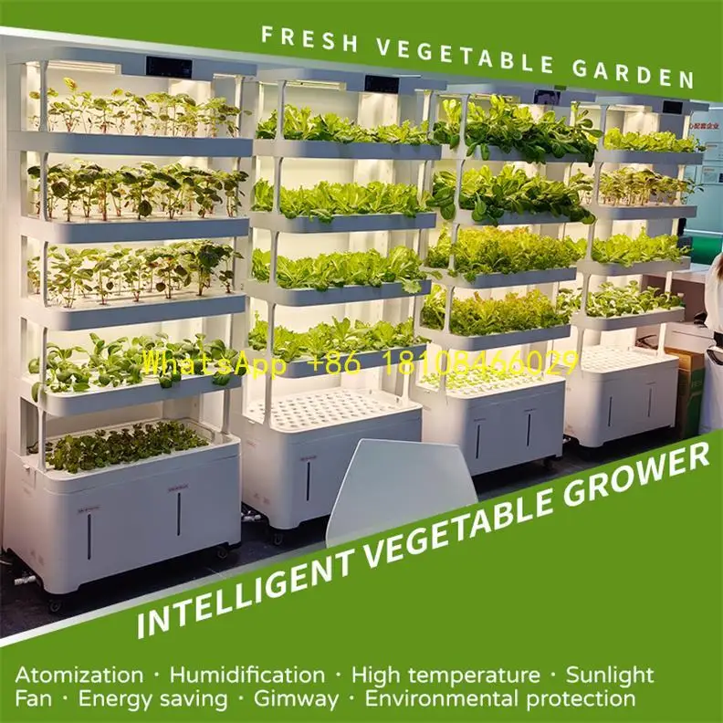 

Vegetable Growing System Food Grade Plastics Hydroponic Equipment New Model Intelligent Indoor Hydroponic
