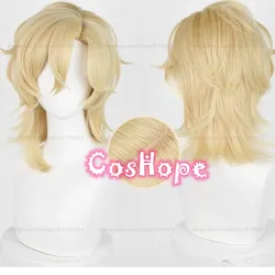 HSR Aventurine Cosplay Wig 40cm Short Hair Golden Wig Cosplay Anime Cosplay Wigs Heat Resistant Synthetic Wigs