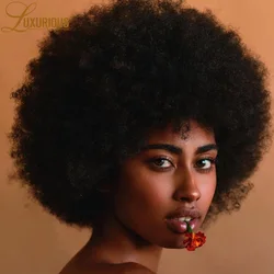 Pelucas rizadas Afro grandes y hinchables para mujeres negras, sin pegamento, prearrancadas, hechas a máquina, cabello humano virgen brasileño Remy