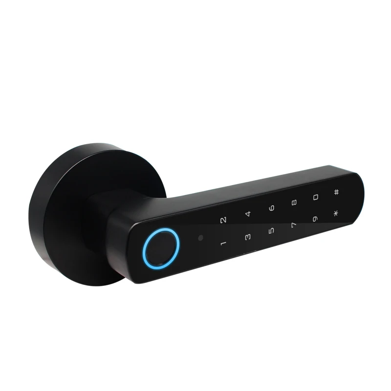 

Hotel Door Lock System Smart Mobile Phone Tuya Fingerprint Door Lock Keyless Lock