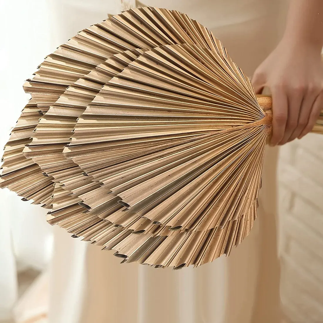 AFOURT-5Pcs Natural Dried Palm Leaves Tropical Dried Palm Fans Boho Dry Leaves Decor For Home Kitchen Wedding