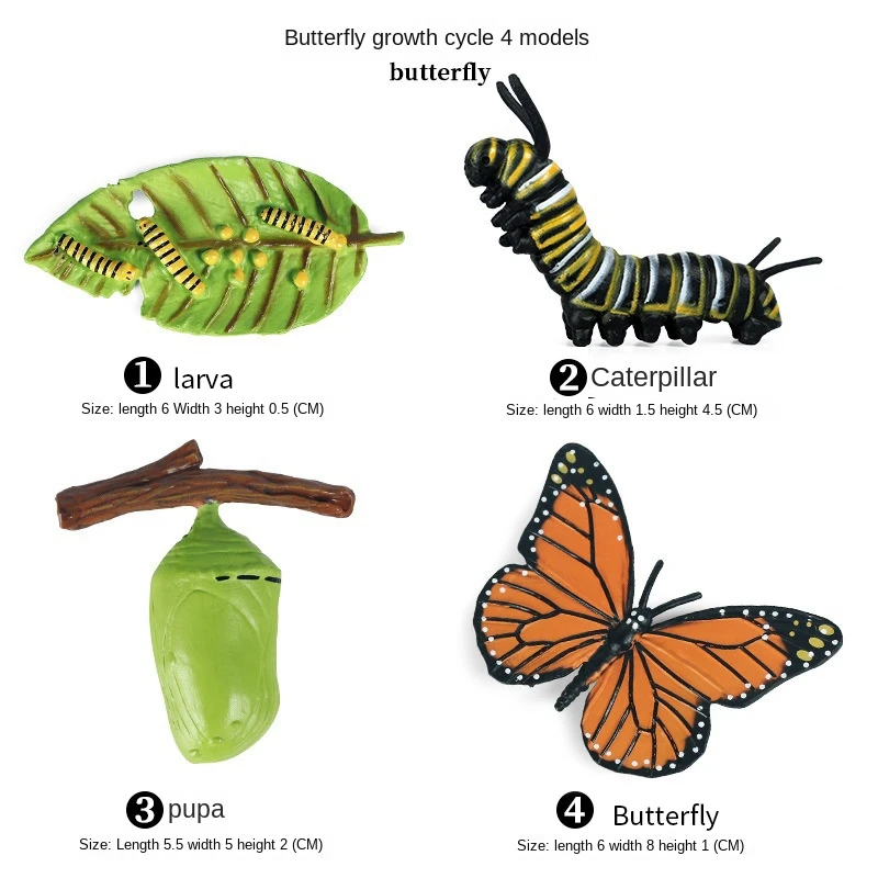 X18A-16PCS Insect Figurines Life Cycle Of Monarch Butterfly,Honey Bee,Cicada,Ladybug, Plastic Educational School Project