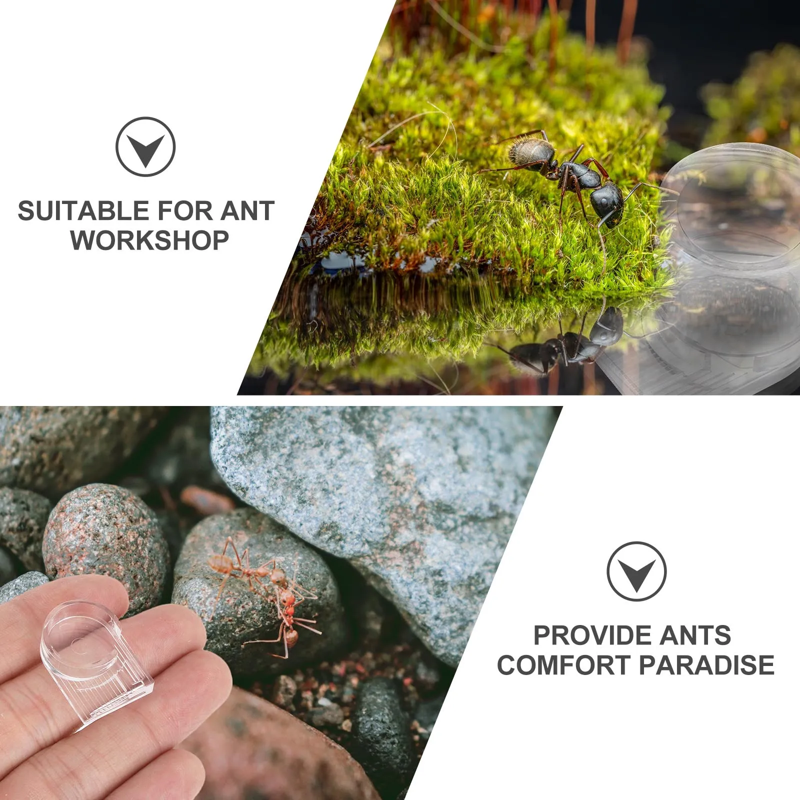 

2Pcs Ant Water Feeders Premium Acrylic Transparent Water Drinking Bowl Durable Accessories Beehive Feeder