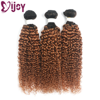 Omber Brown Kinky Curly Hair Bundles Brazilian Human Hair Weave Bundles IJOY 8-26 Inch 1/3 Bundles Remy Curly Hair Extensions