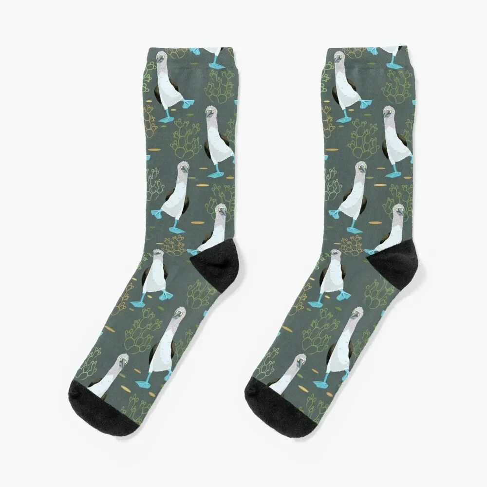 

Dancing blue-footed boobies pattern Socks set hip hop Socks For Men Women's