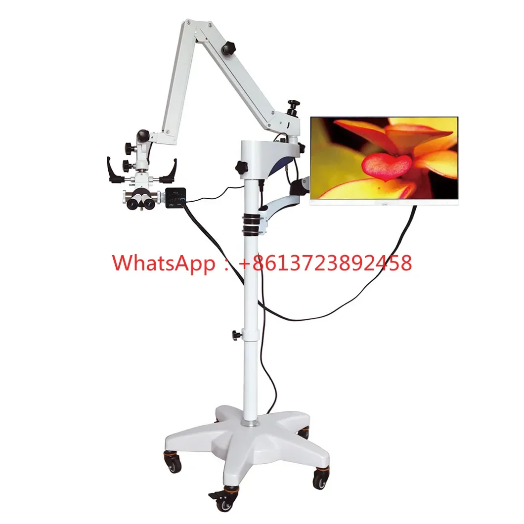 Eye Ophthalmic Medical Digital ENT Neurosurgery Surgical Operating Microscope Prices