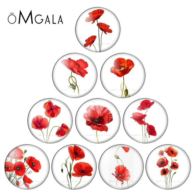 Beauty Red Flowers Art Paintings 10pcs mixed 12mm/18mm/20mm/25mm Round photo glass cabochon demo flat back Making findings