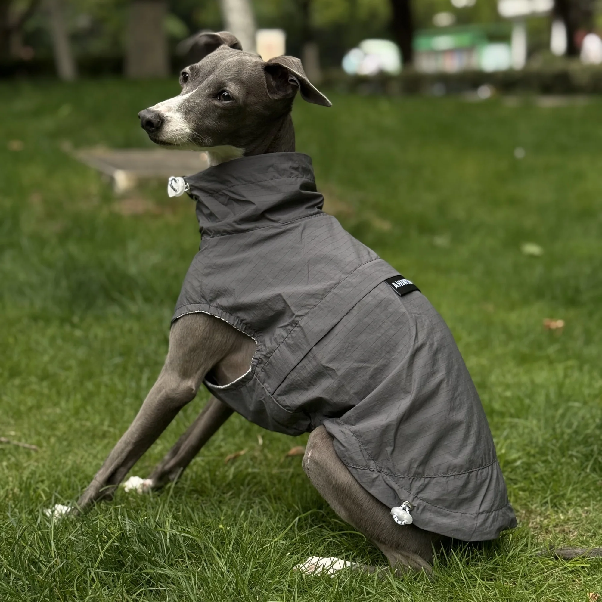

Beige Sunscreen Clothing for Dogs Summer Cool Light Breathable UPF100 Blue Coat Pink Jacket with Zipper for Italian Greyhound
