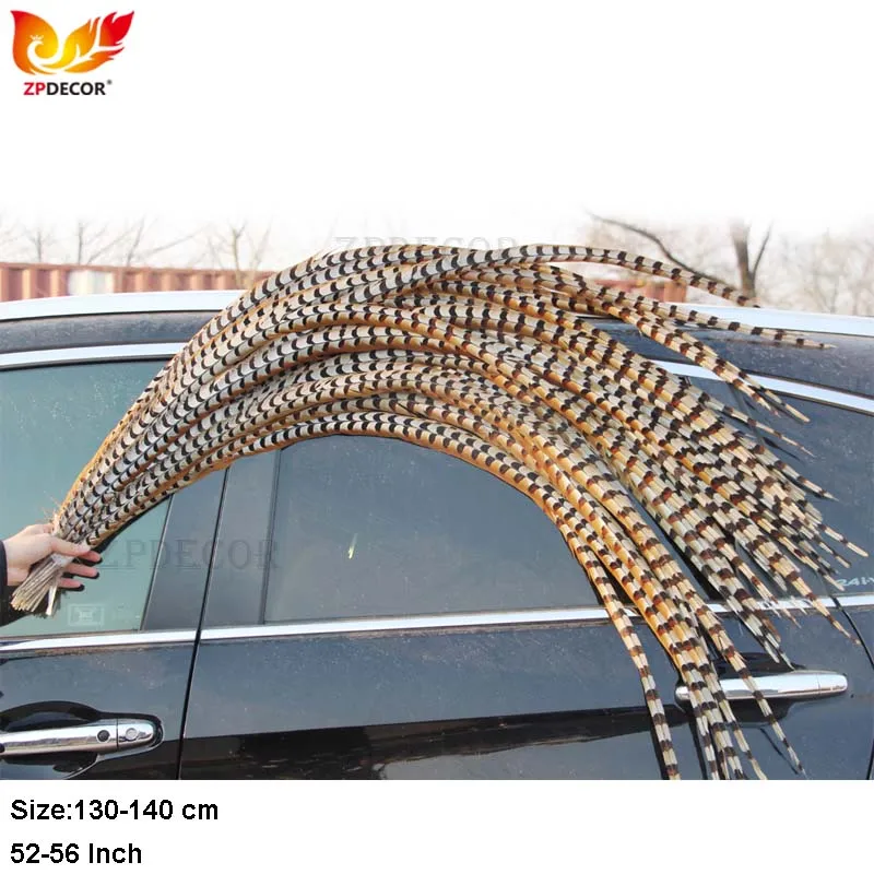 ZPDECOR Long Feathers Natural Reeves Pheasant Tail Feathers 130-140cm/52-56Inch for Crafts