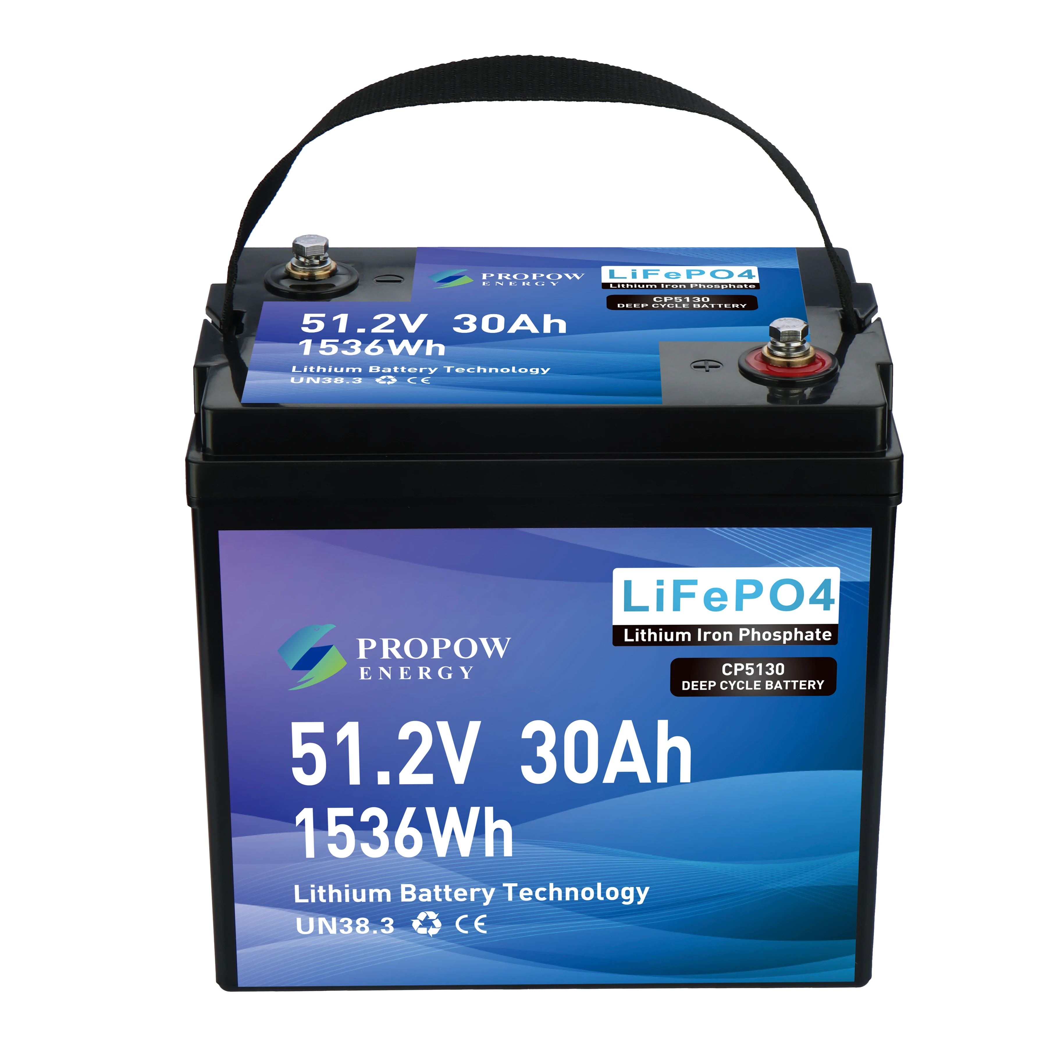 Batterie per tosaerba al litio 202512V 24V 36V 48V Batterie per prato e giardino