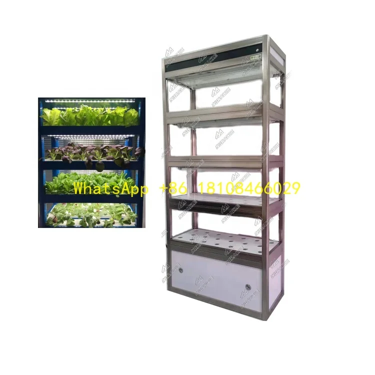 

Planter Machine Lettuce Hydroponic Growing Systems Mobile Intelligent Control Tomato Seed